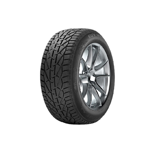 Picture of TAURUS 195/65 R15 WINTER 91H (OUTLET)