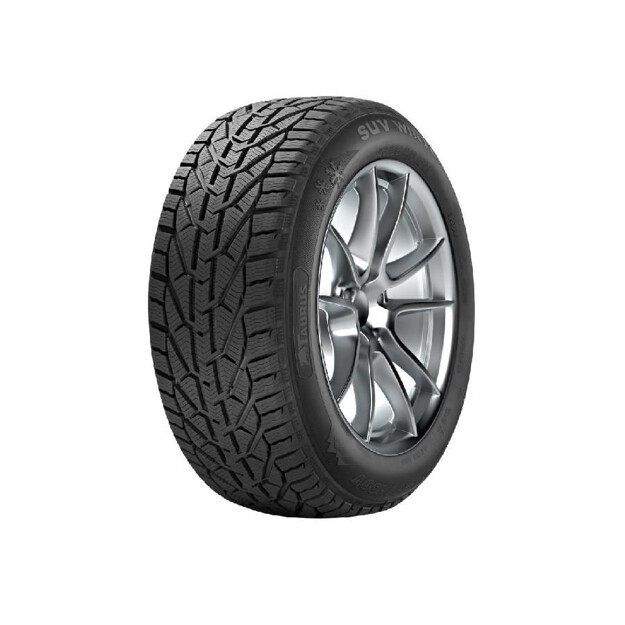 Picture of TAURUS 225/45 R17 WINTER 91H (OUTLET)